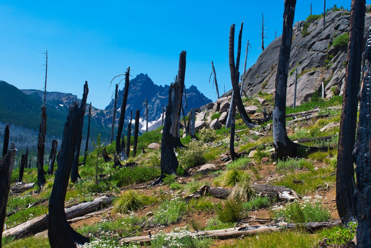 Wasco and Minto Lakes Loop Hike Image