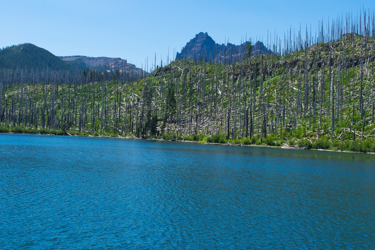 Wasco and Minto Lakes Loop Hike Image