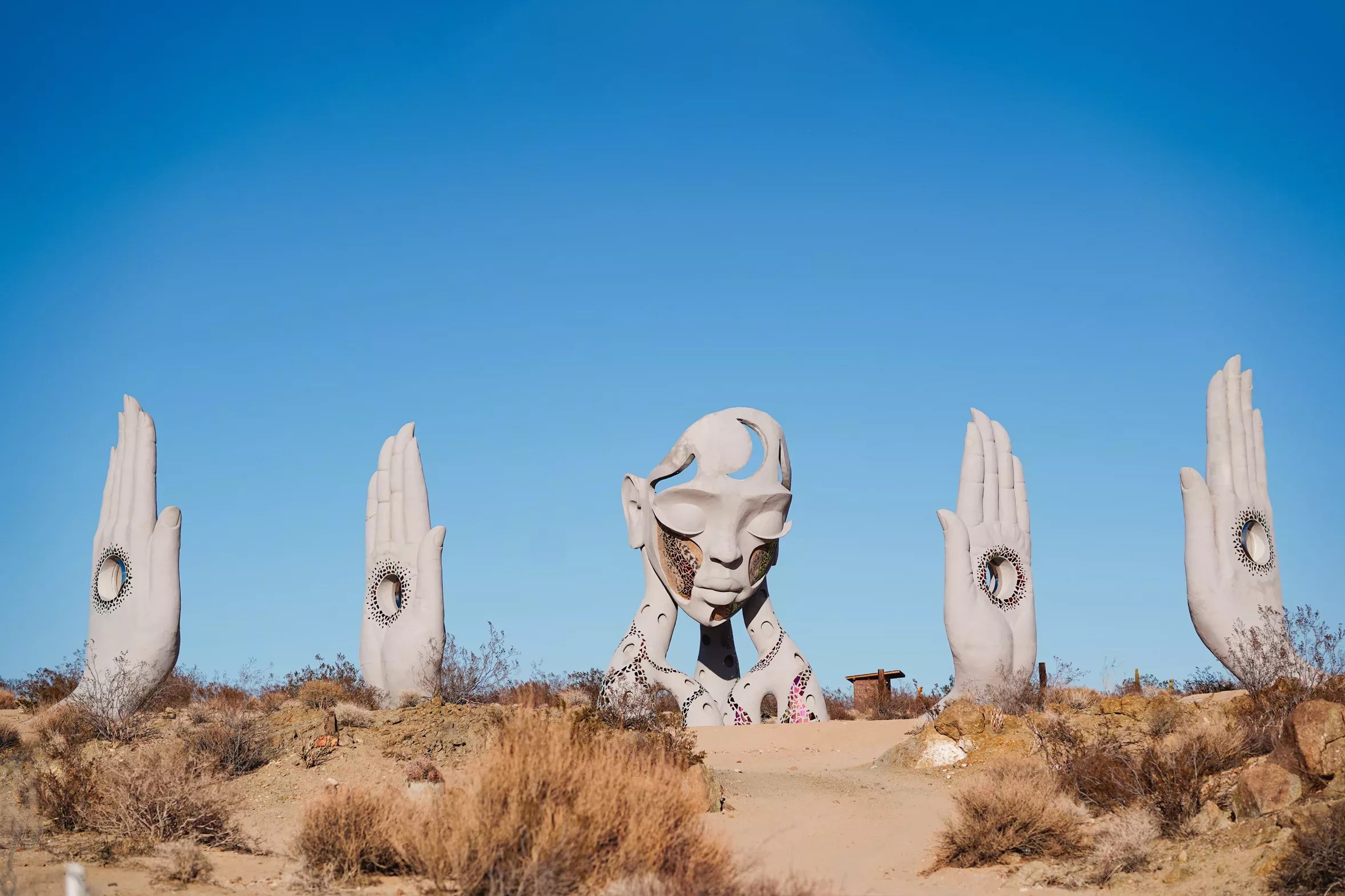 Transmission Art Installation Oneness in Joshua Tree