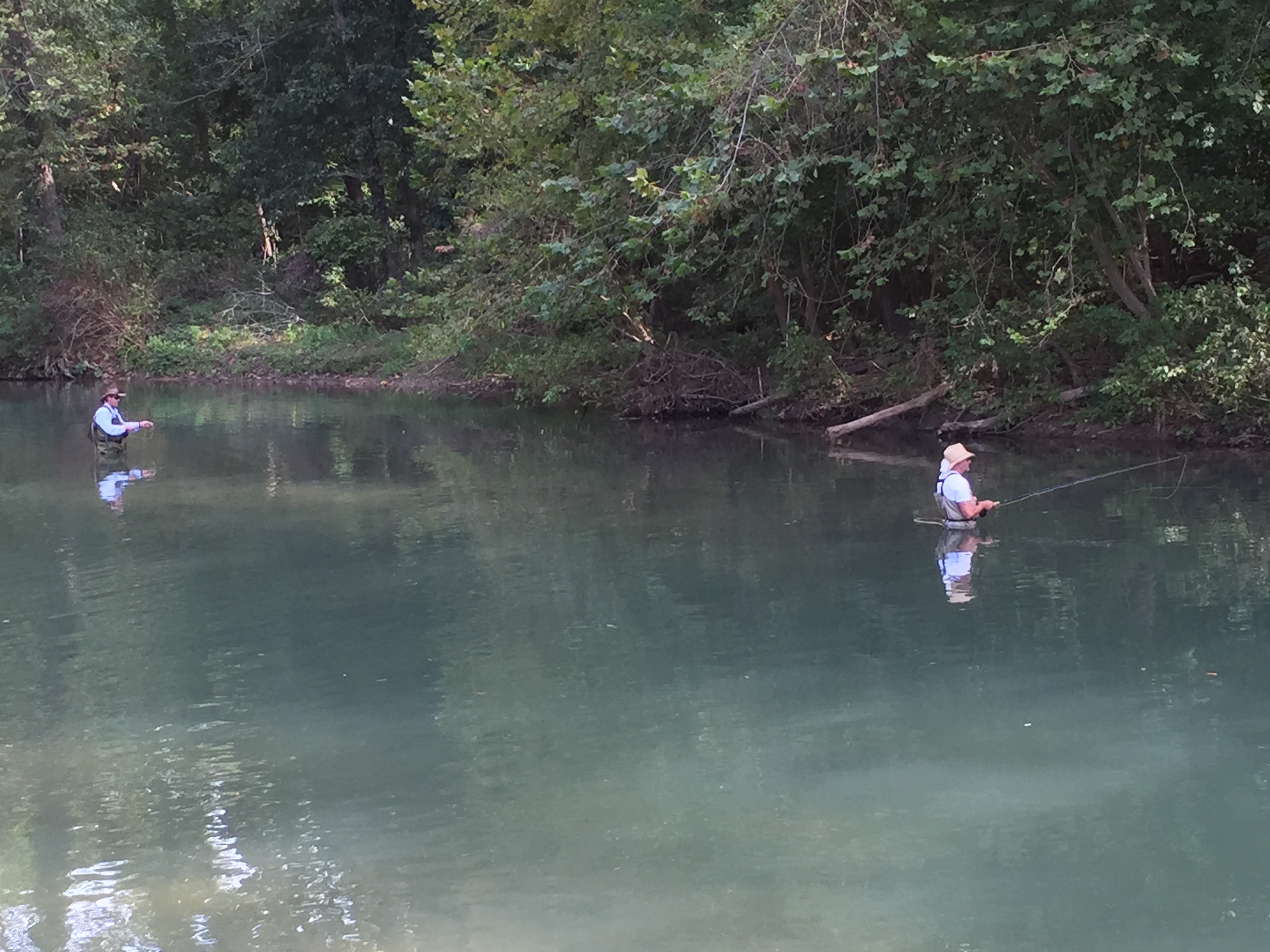 Fishing on the Roaring River in the Ozarks Missouri