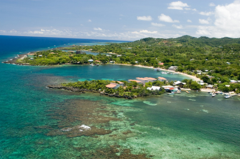 Diving Guide to Roatan's West End Sandy Bay Marine Reserve