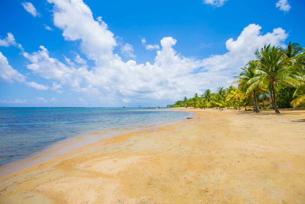 Over 325' Of Beachfront, Sandy Bay, Roatan Roatan Honduras Travel Guide