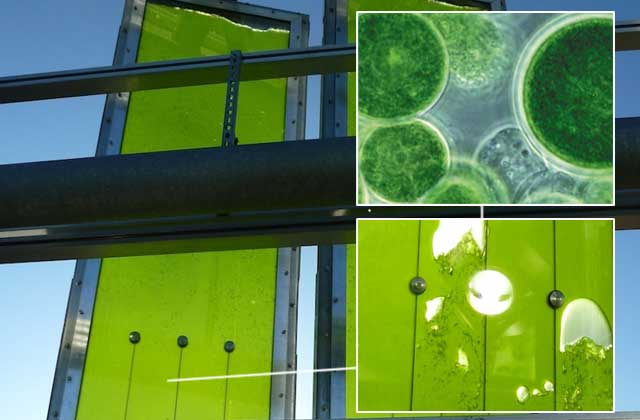 BIQ House has bioreactive façade with algae filled panels RobAid