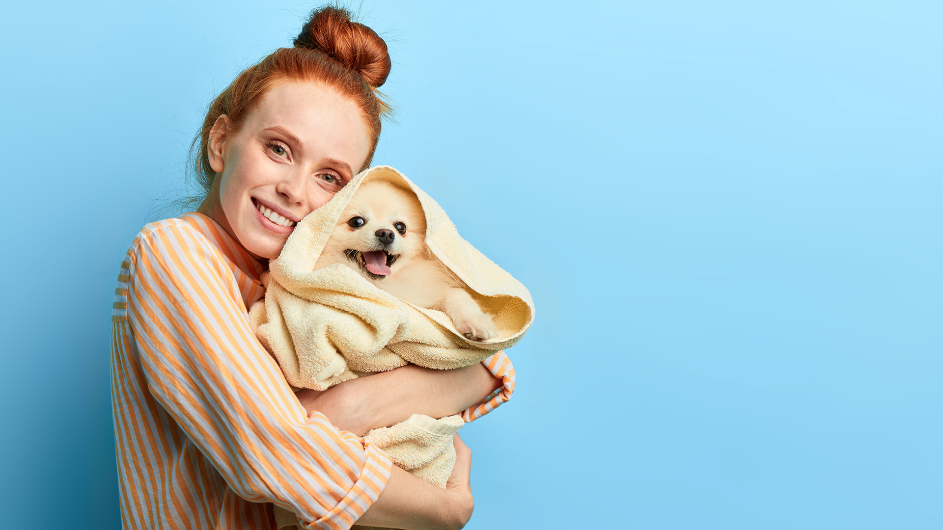 How to Prepare Your Pet for Boarding Rob Cary Pet Resort