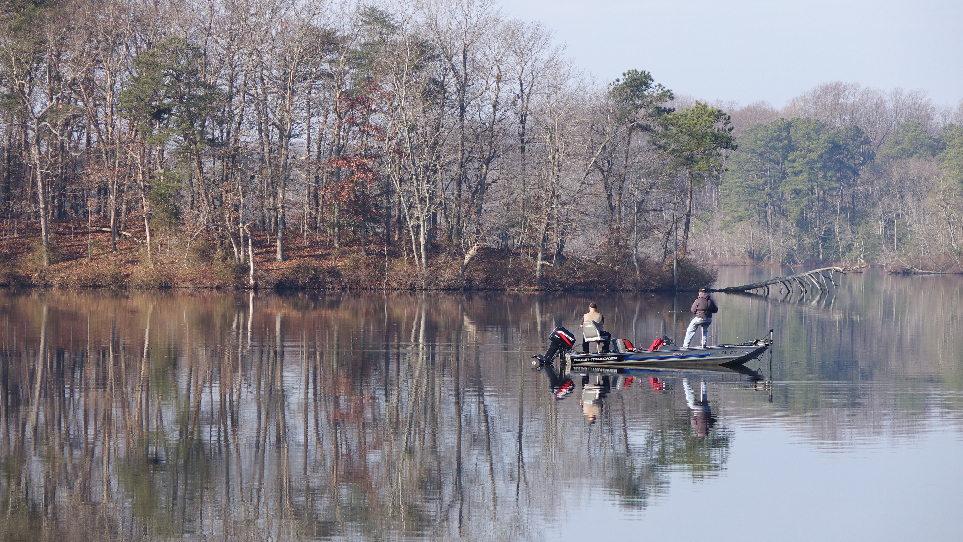 Killens Pond and neighbors Rob Crimmins' SiteRob Crimmins' Site