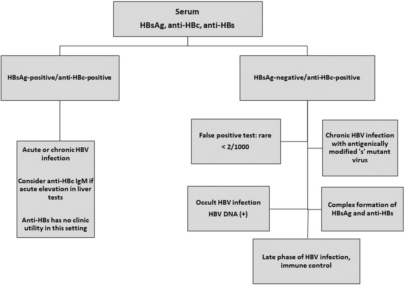Hepatitis B Core Antibody Role in Clinical Practice in 2020 Dr. Gish