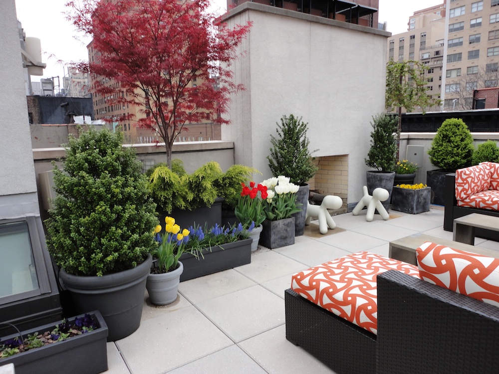 gardens by Robert Urban townhouse backyard spaces