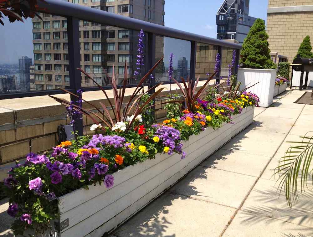 gardens by Robert Urban townhouse backyard spaces