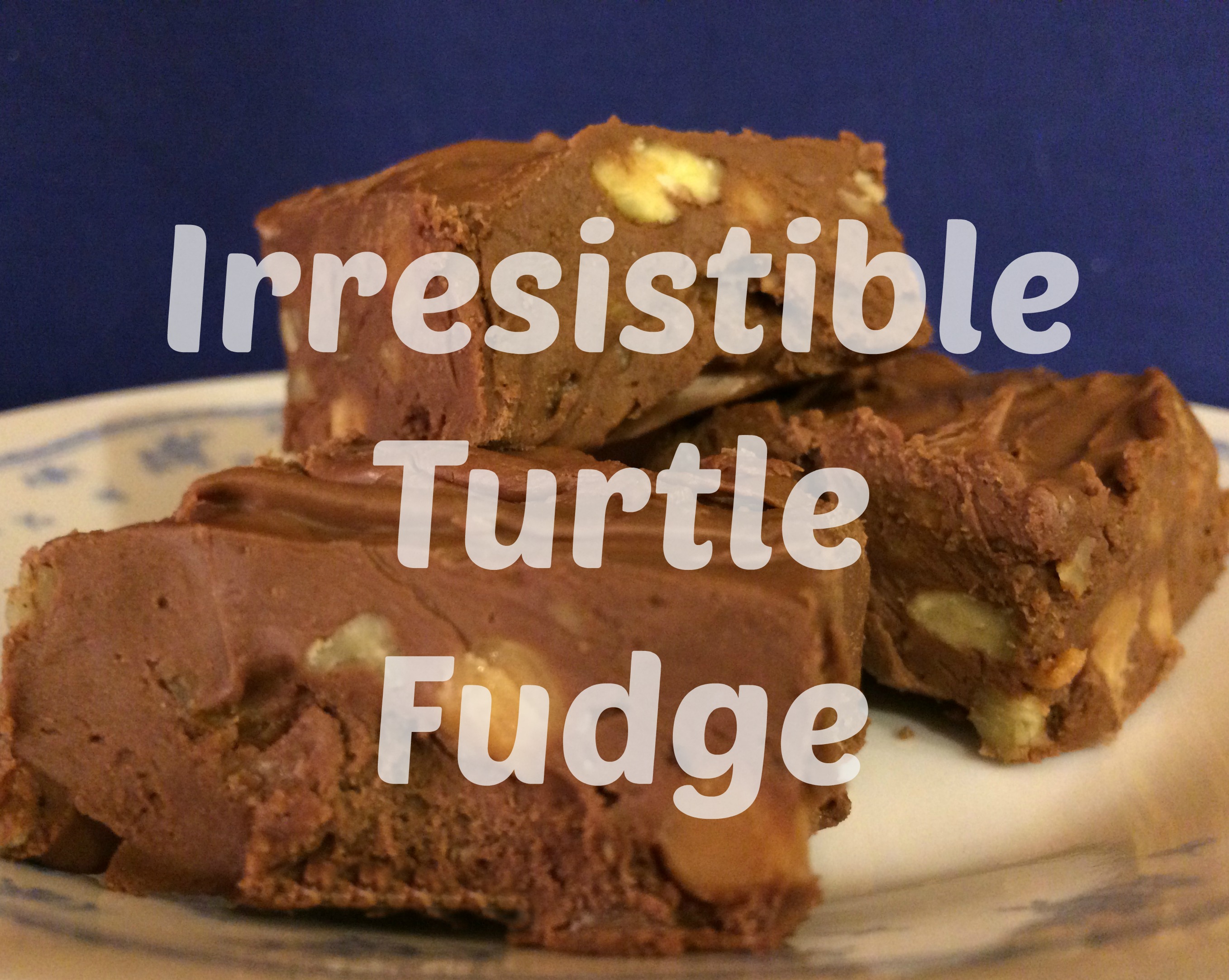 Irresistible Turtle Fudge Robin O'Neal Smith