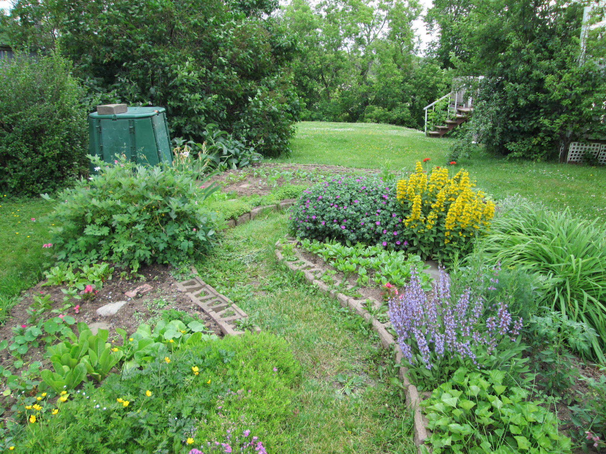 Our Vegetable Garden Plot 2013Robins Key