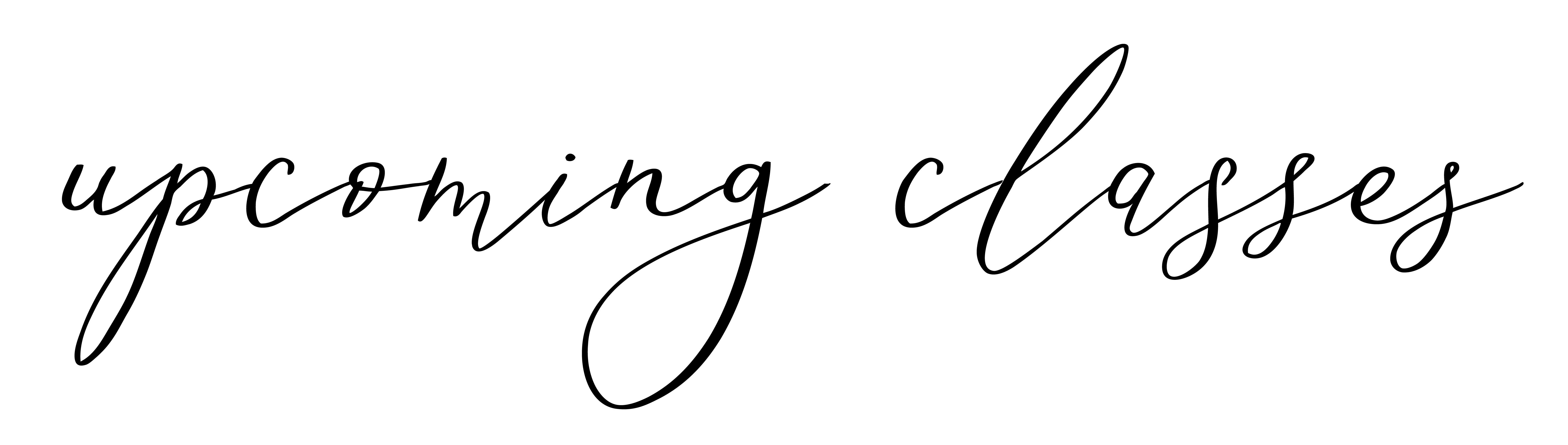 Flower Classes Robin Wood Flowers Cincinnati Ohio Flower Arranging