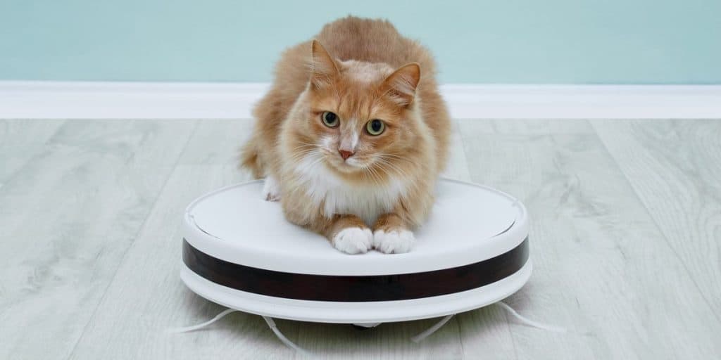 Are Robot Vacuums Safe for Cats? Robot Pet Friends