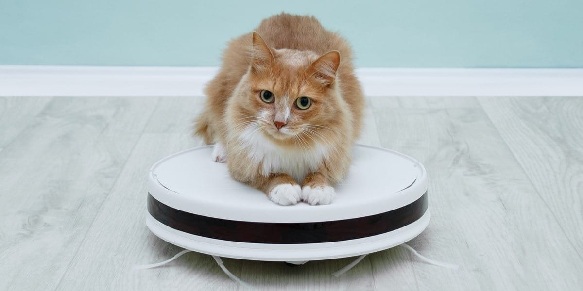 Are Robot Vacuums Safe for Cats? Robot Pet Friends