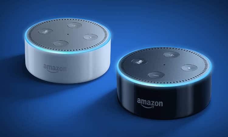 Amazon.com: echo dot app for windows 10
