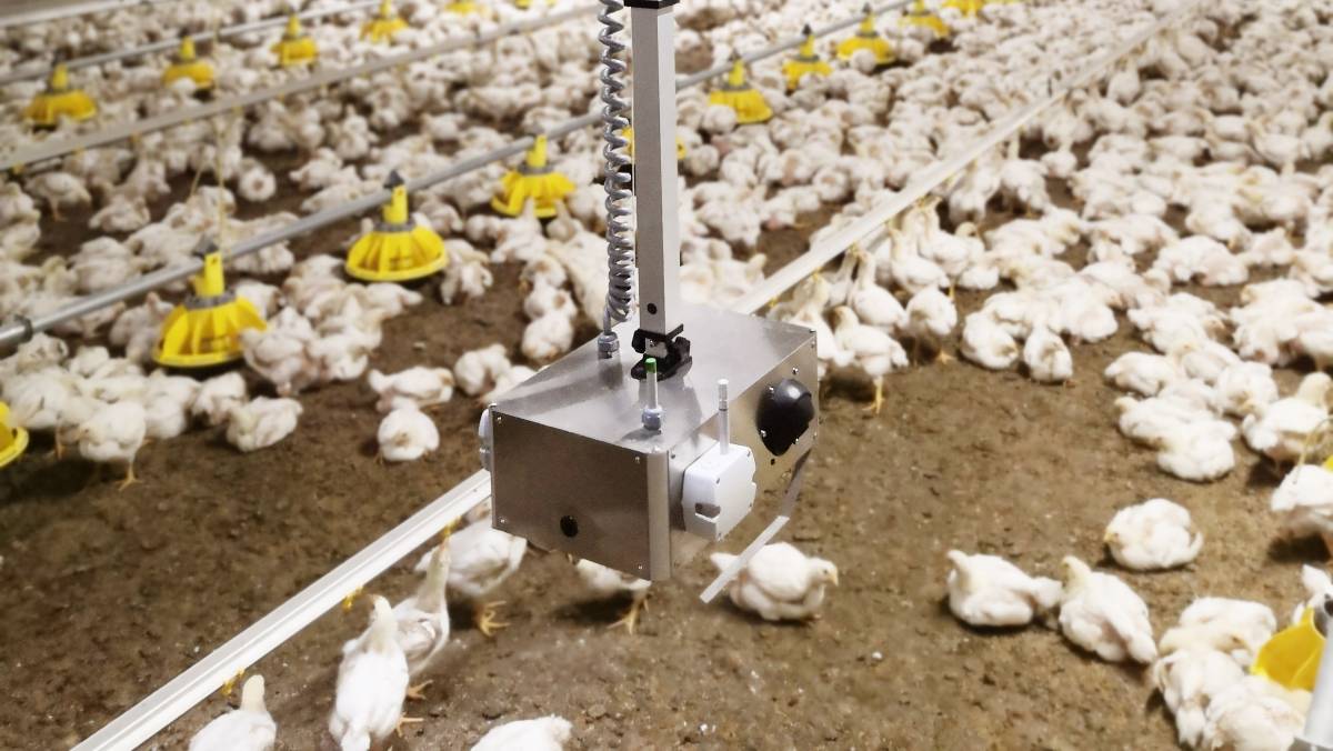 Chicken Boy Robot The Innovative of Poultry Monitoring Robot