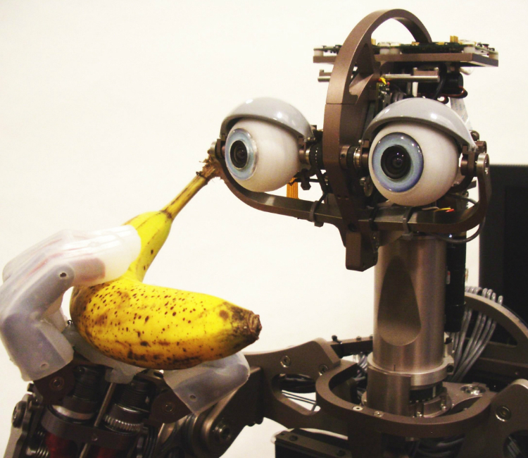 MIT Humanoid Robotics Group have developed a robot called Domo.