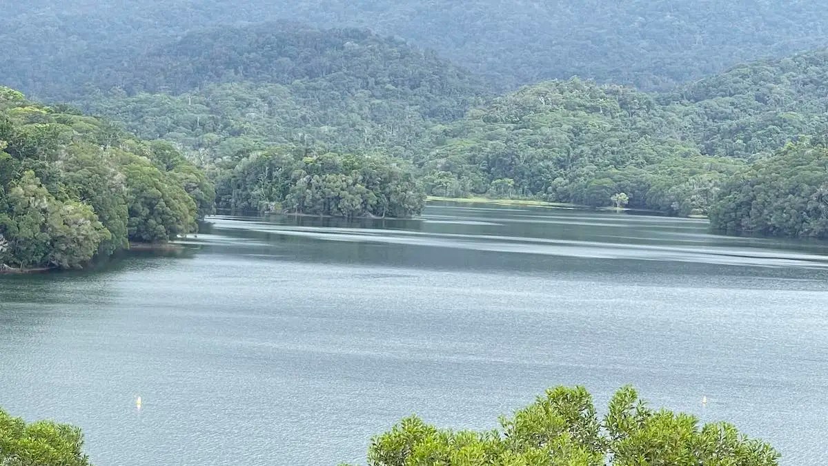 Lake Morris is a Hidden Gem in Cairns