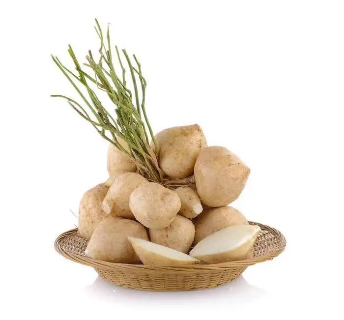 Jicama Growing A Complete Guide