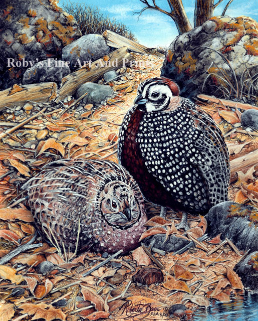 Montezuma JungleKey.fr Wiki