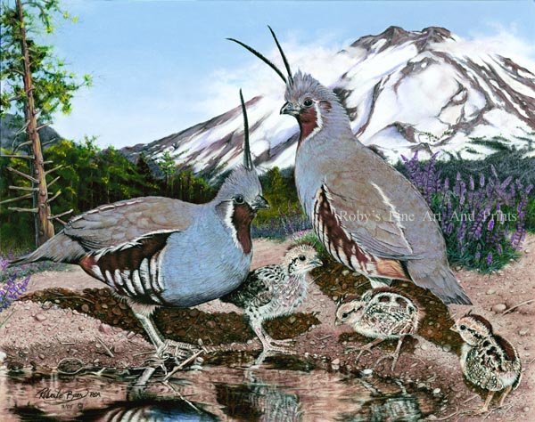 Pastel Mountain Quail Painting. Quail Art by Roby Baer.