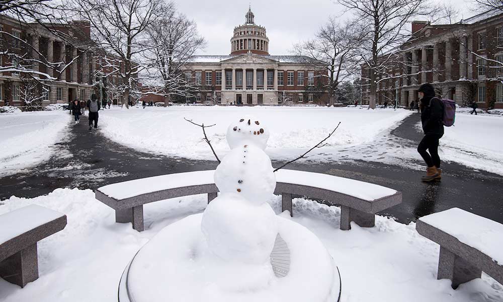 Christmas Activities Rochester Ny 2023 22 Best Winter Activities Rochester Ny Home, Family, Style and Art Ideas