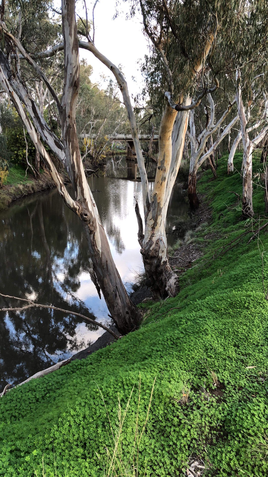 Gallery Visit Rochester Victoria