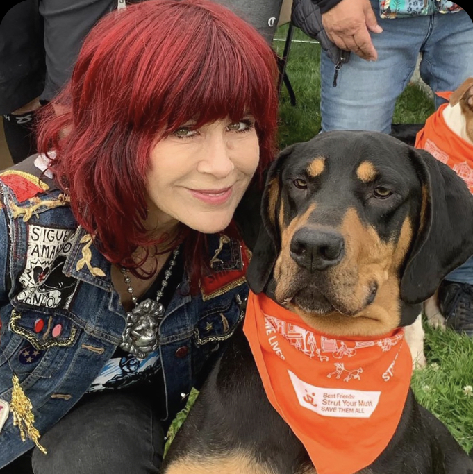 Home Rocket Dog Rescue