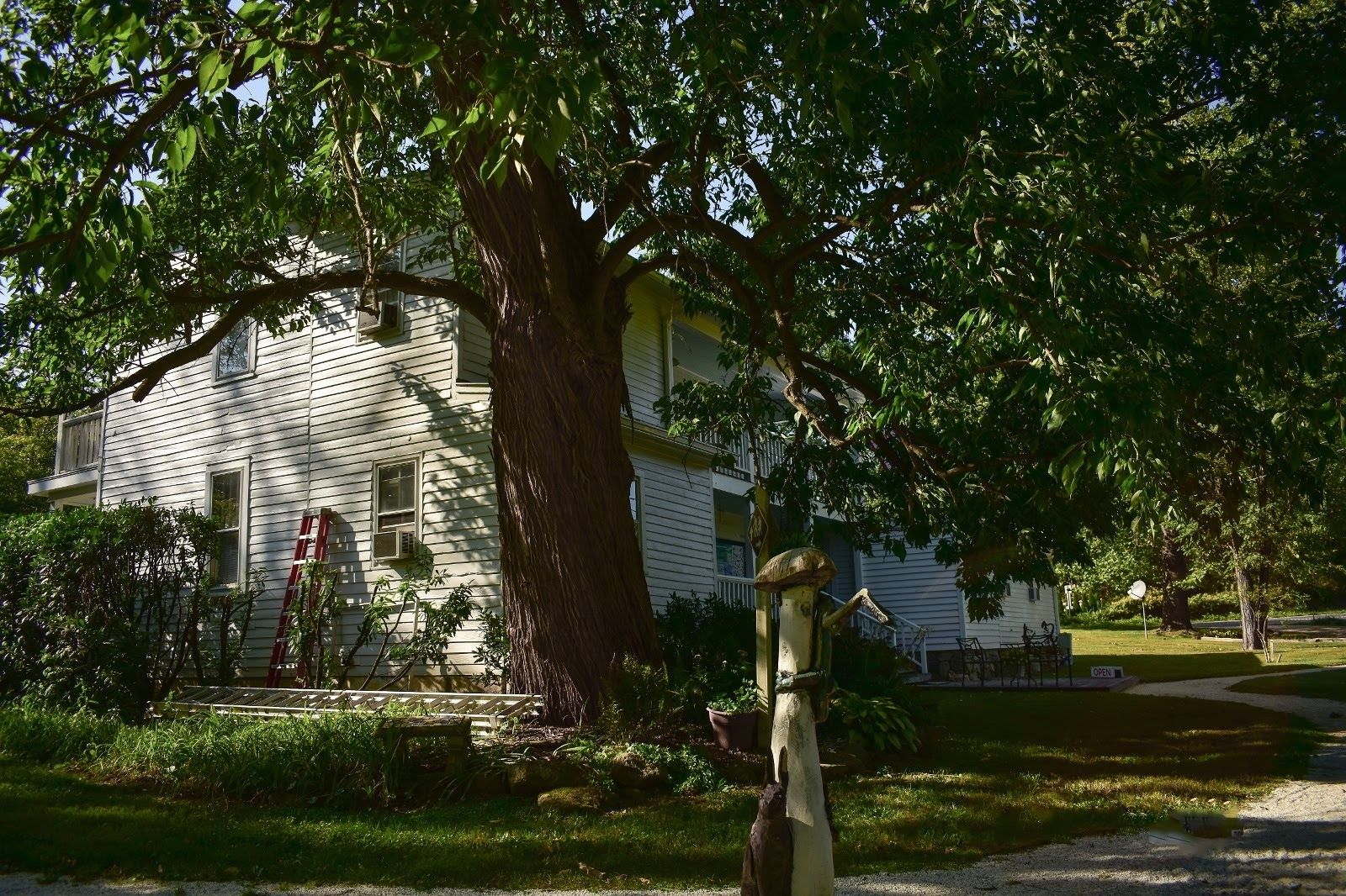 Rockfish Valley Natural History Center The Rockfish Valley Foundation