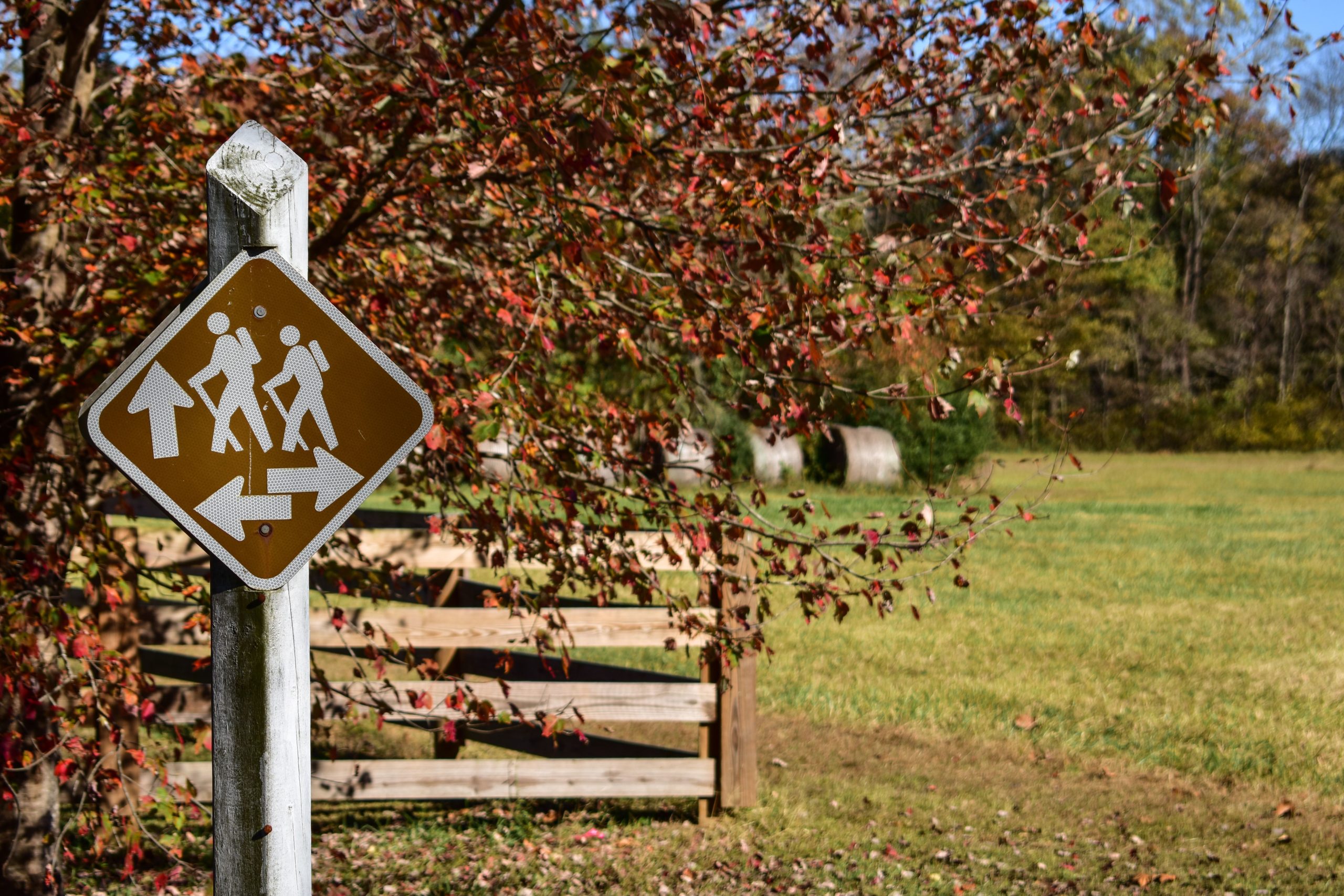 Spruce Creek Park The Rockfish Valley Foundation As Big As All Outdoors