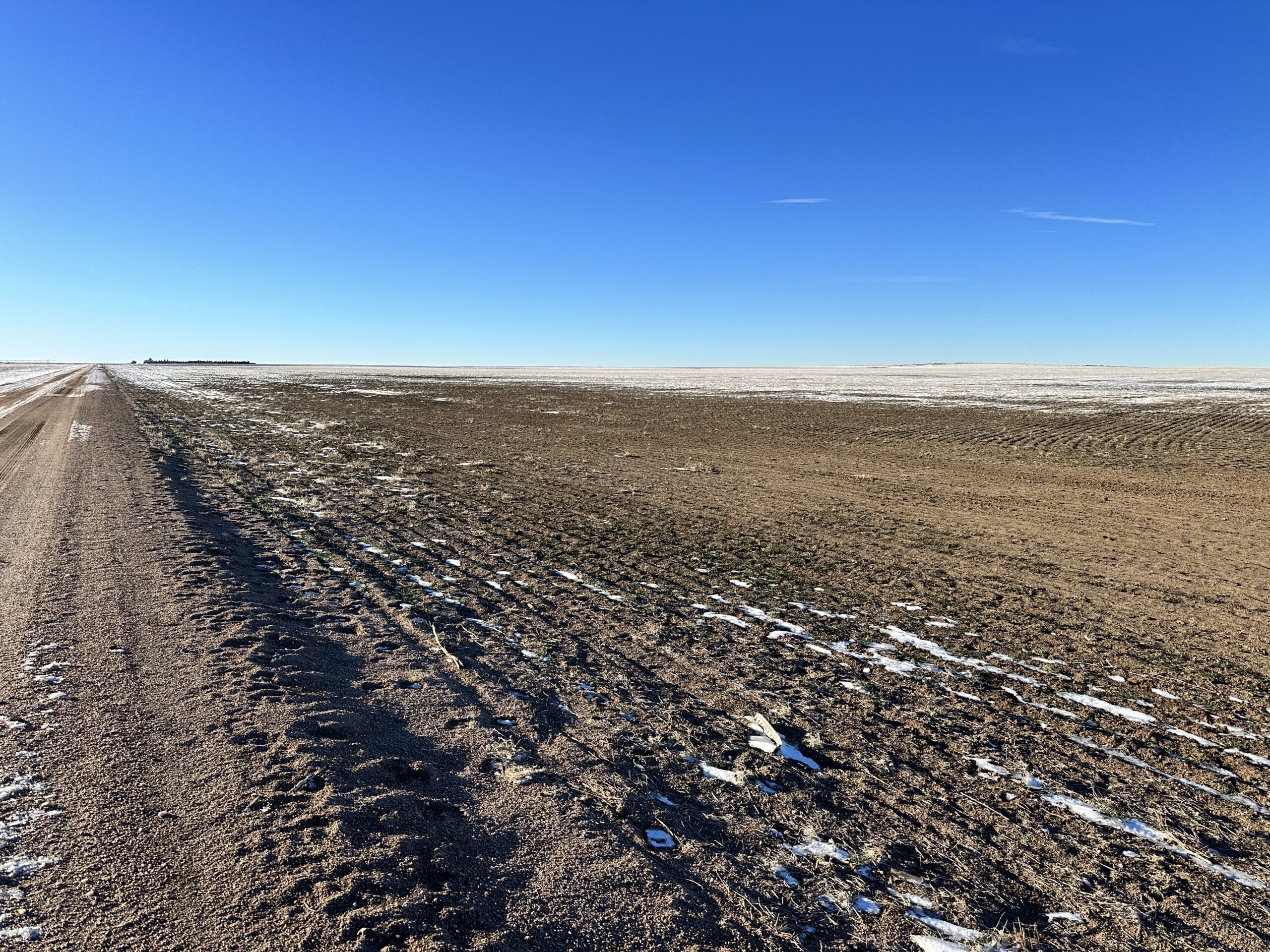 Kit Carson County CO Dryland Auction RXL Colorado Rocking X Land