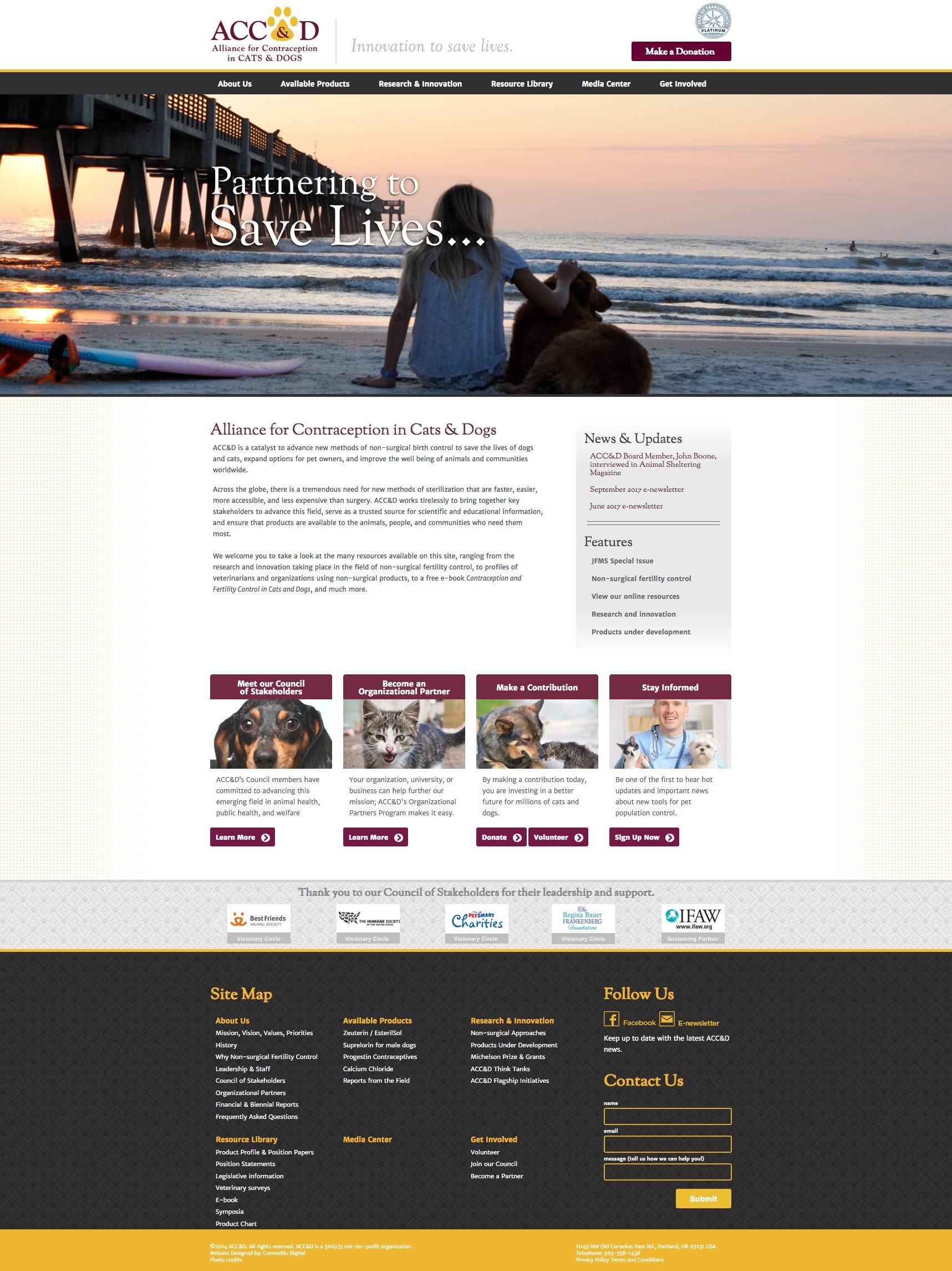 Rockit Interactive site Design Jacksonville Florida Jacksonville