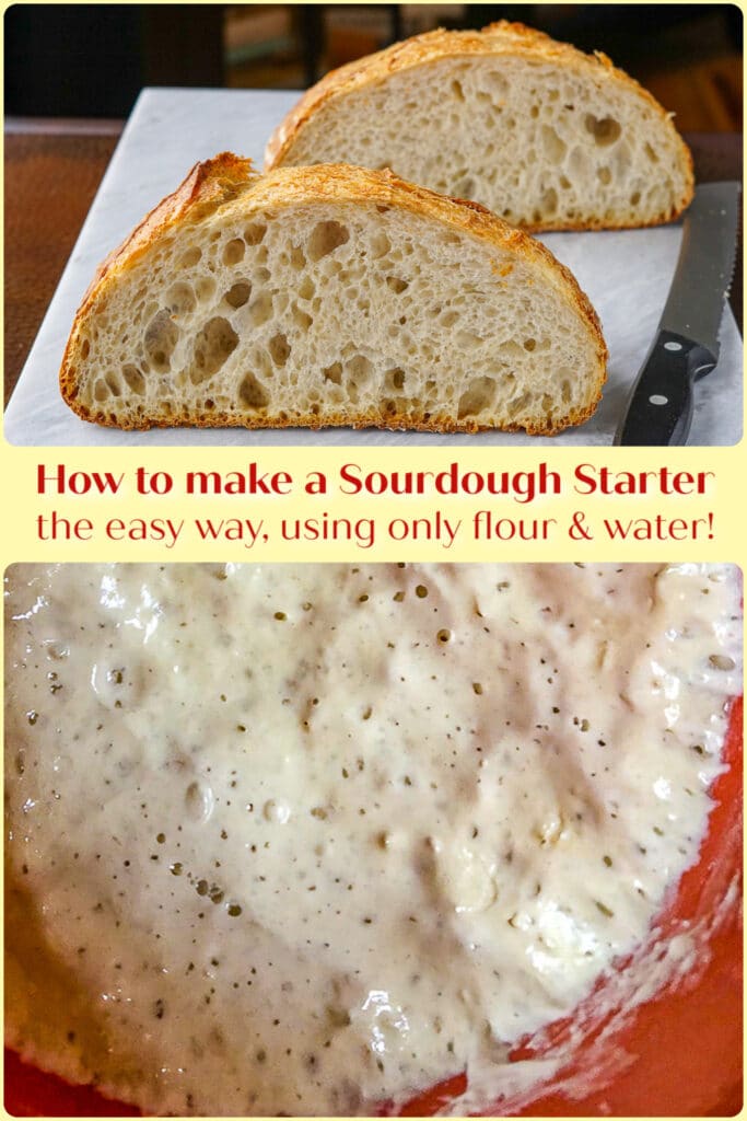 How to Make a Sourdough Starter. By a professional artisan baker!