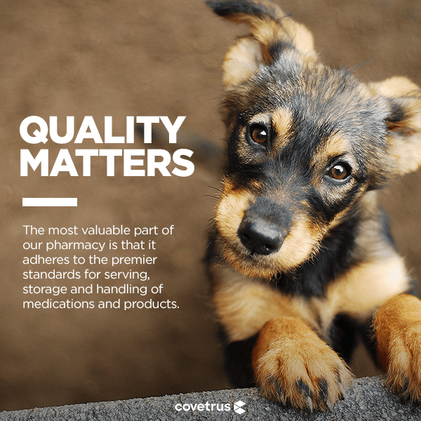 Online Pharmacy in Knoxville, TN Rocky Hill Animal Hospital
