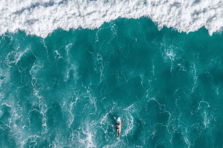 The Importance of Ocean Safety What Every Surfer Needs to Know Rocky