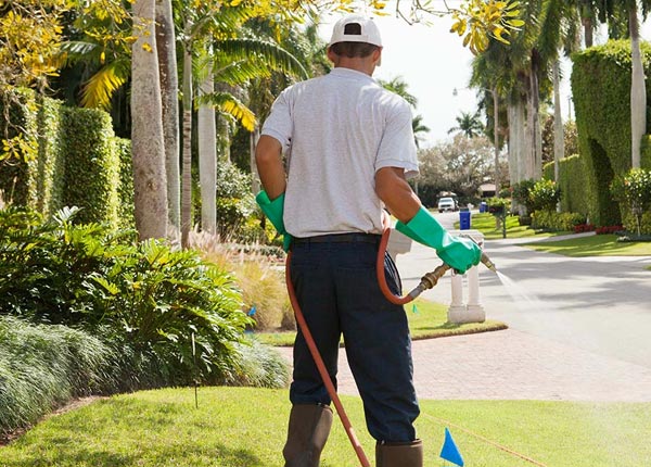 Birmingham Alabama Pest Control Services