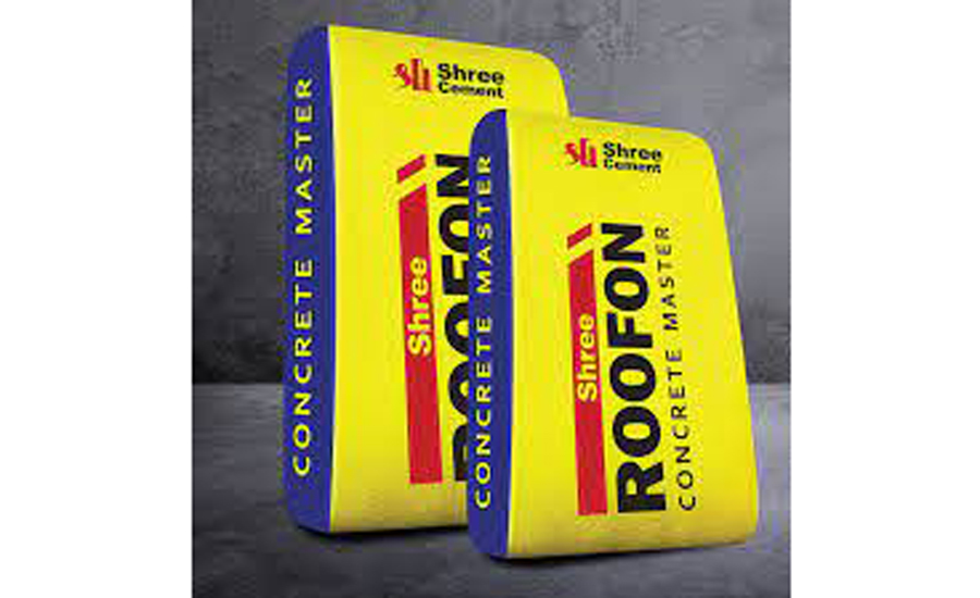Shree Cement Suppliers & Dealers in Gurgaon Rodidust