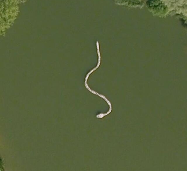Giant snake (Giant) Strange Google Earth maps ∴