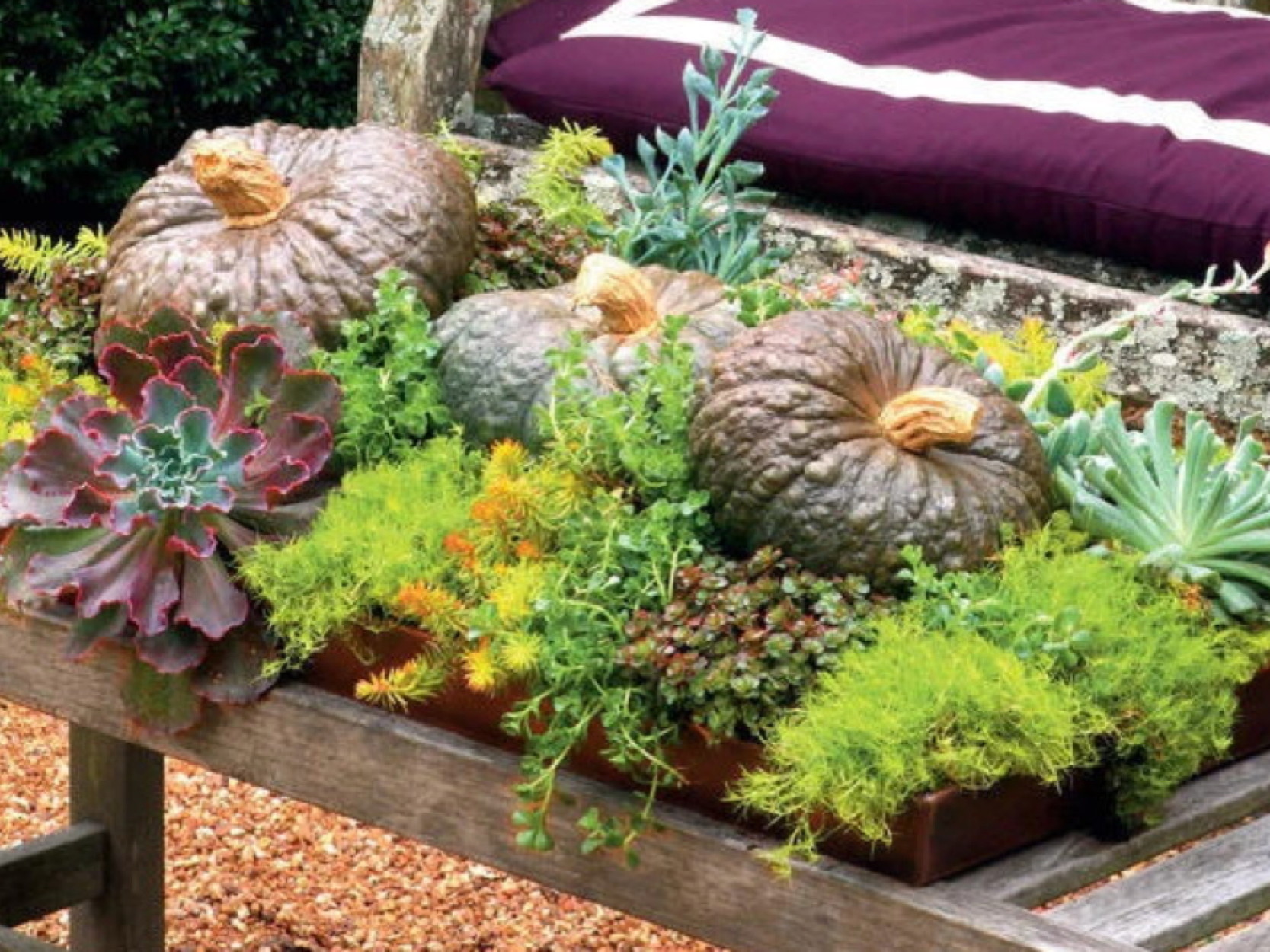 Fall Florida Patio Ideas You’ll Love! Roedell's Landscaping