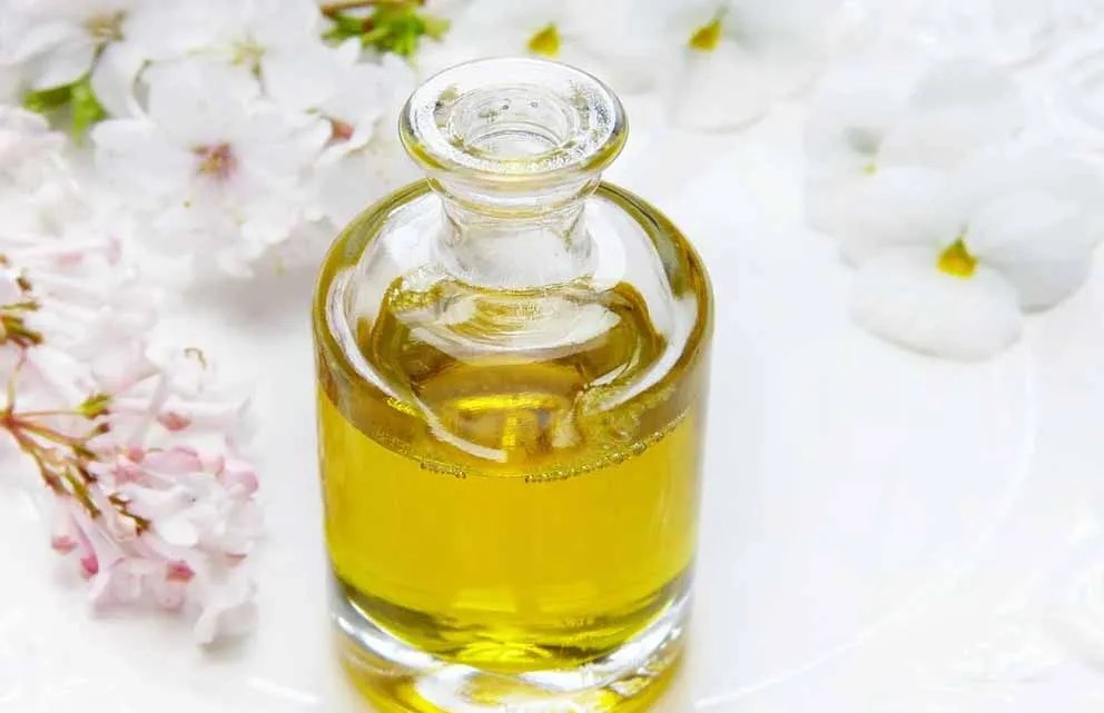 Top 4 Perfume Bottle Manufacturers in the UAE Reliable Glass Bottles