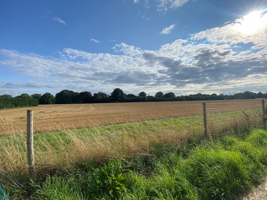 Amber Waterside by Nicholas King Homes, Cranleigh, Surrey, GU6 8NQ