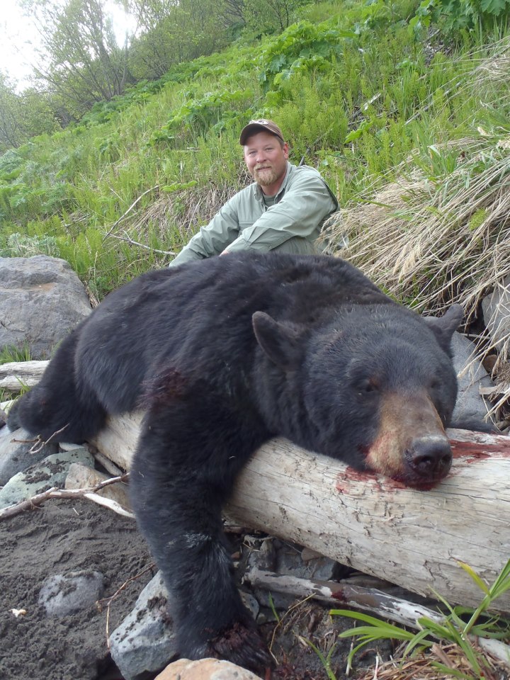 Alaska Black Bear Hunting
