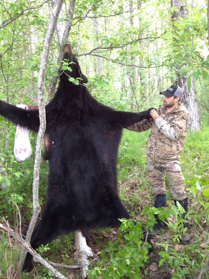 Alaska Black Bear Hunt 11