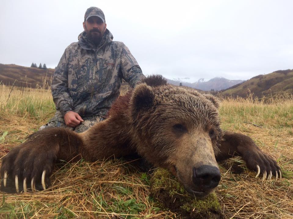 Alaska Brown Bear Hunt 21