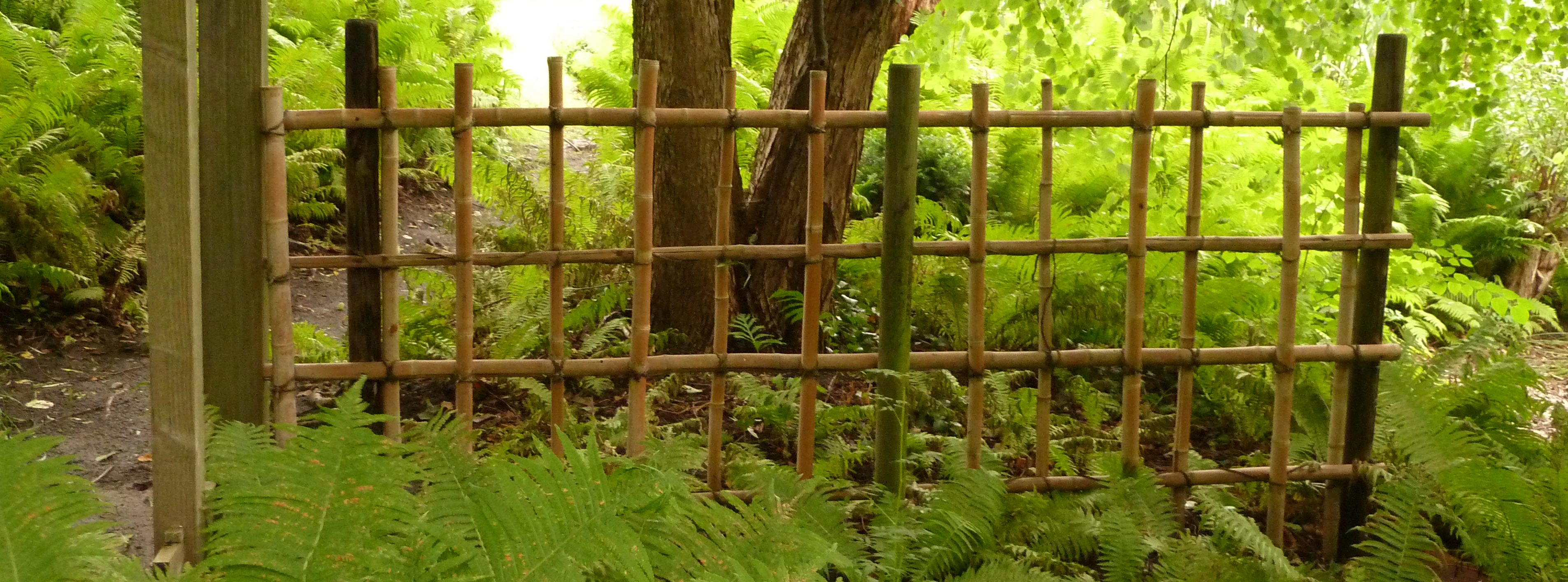 18+ Bambuszaun Selber Bauen Garten Gestaltung, Gartengestaltung