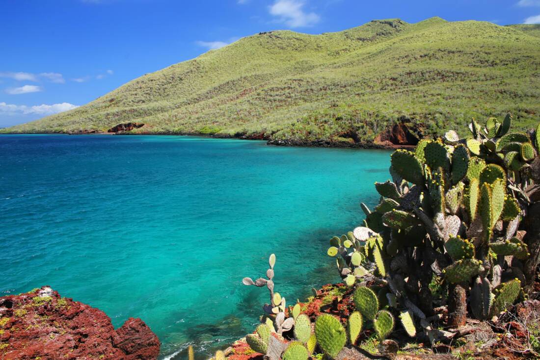 Galapagos Islands A one of a kind wildlife destination