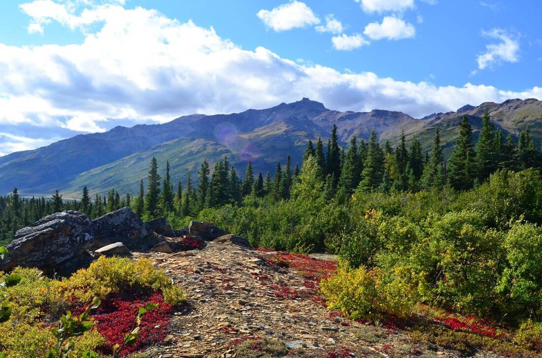 How to pack for different climate zones ROL Cruise Blog