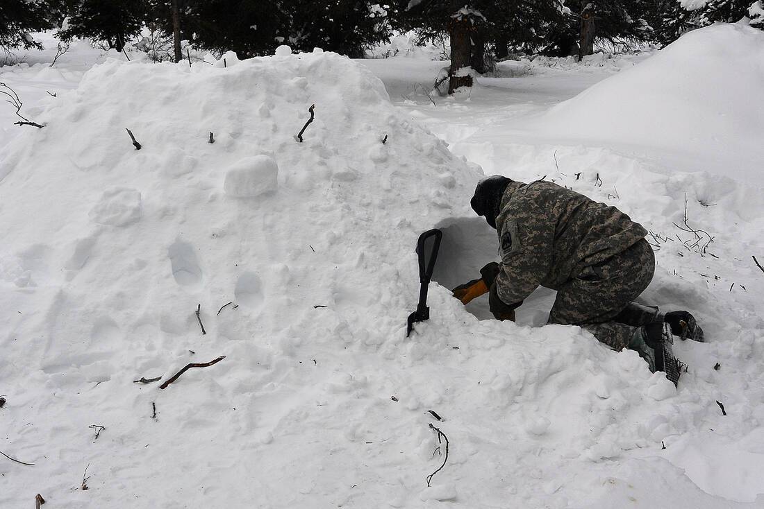 How To Survive In The Alaskan Wilderness ROL Cruise