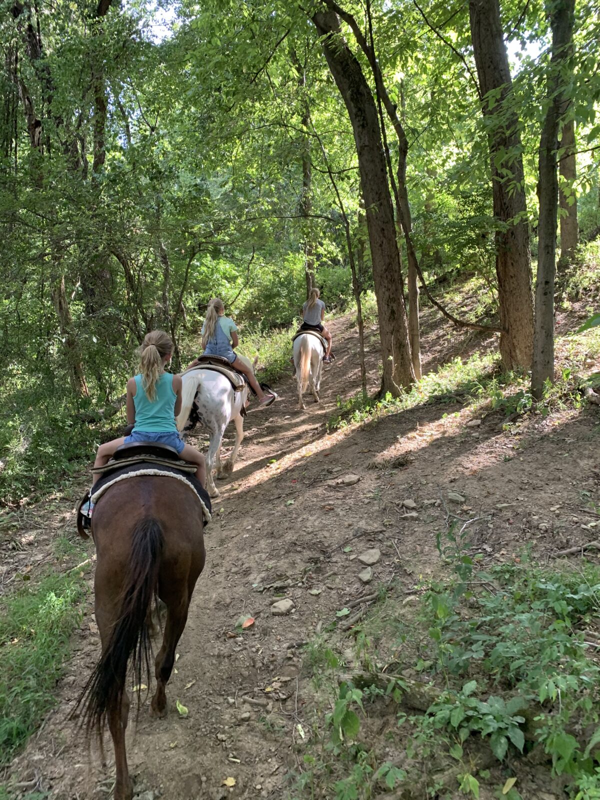 Horseback Riding Rolling Hills Ranch