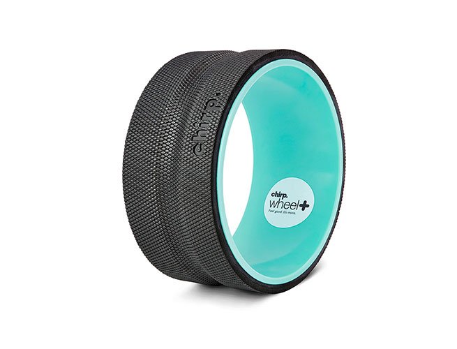 Best Back Rollers 2021 TopRated Foam Roller for Back Pain Relief