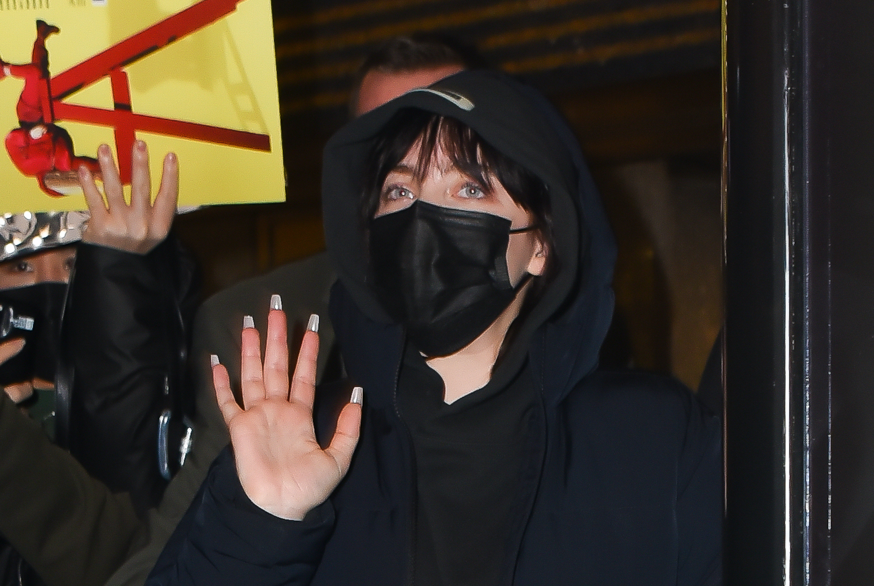 What are the political views of Billie Eilish? Hollowverse